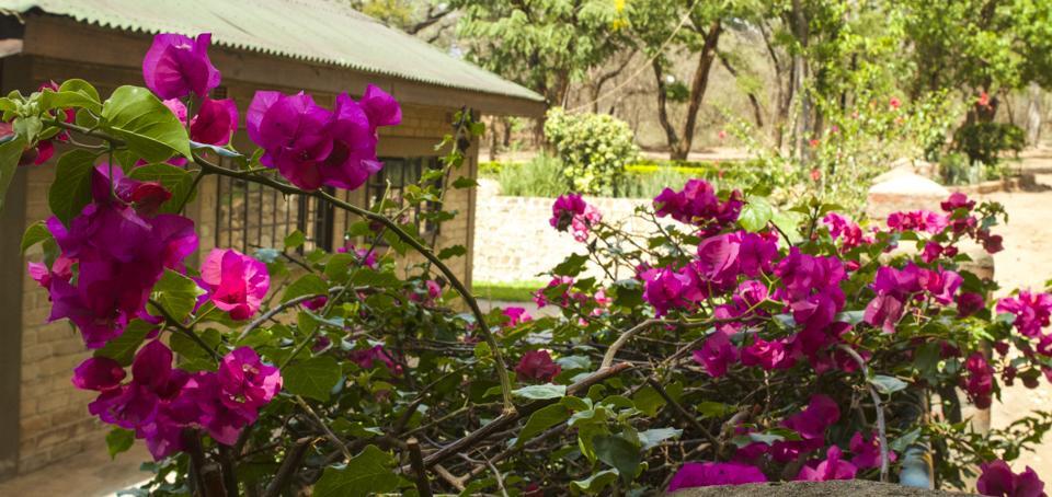 Woodlands Lilongwe Hotel Kültér fotó