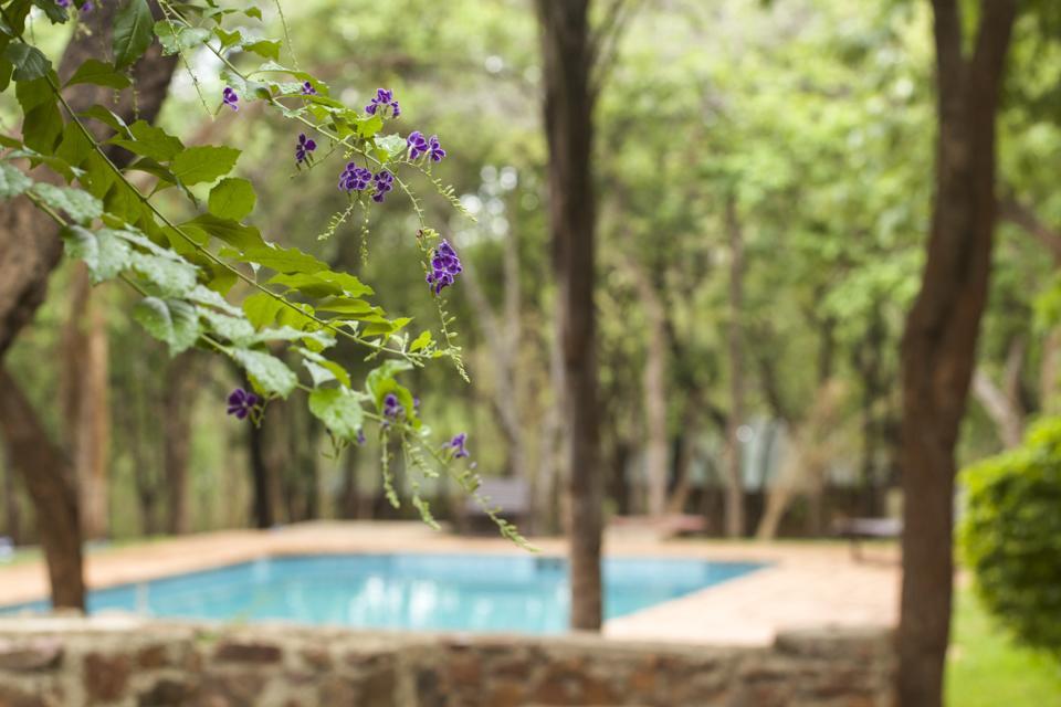 Woodlands Lilongwe Hotel Kültér fotó