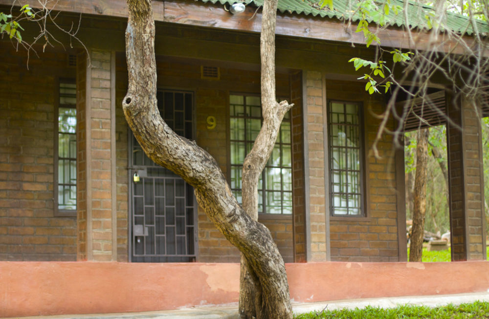 Woodlands Lilongwe Hotel Kültér fotó